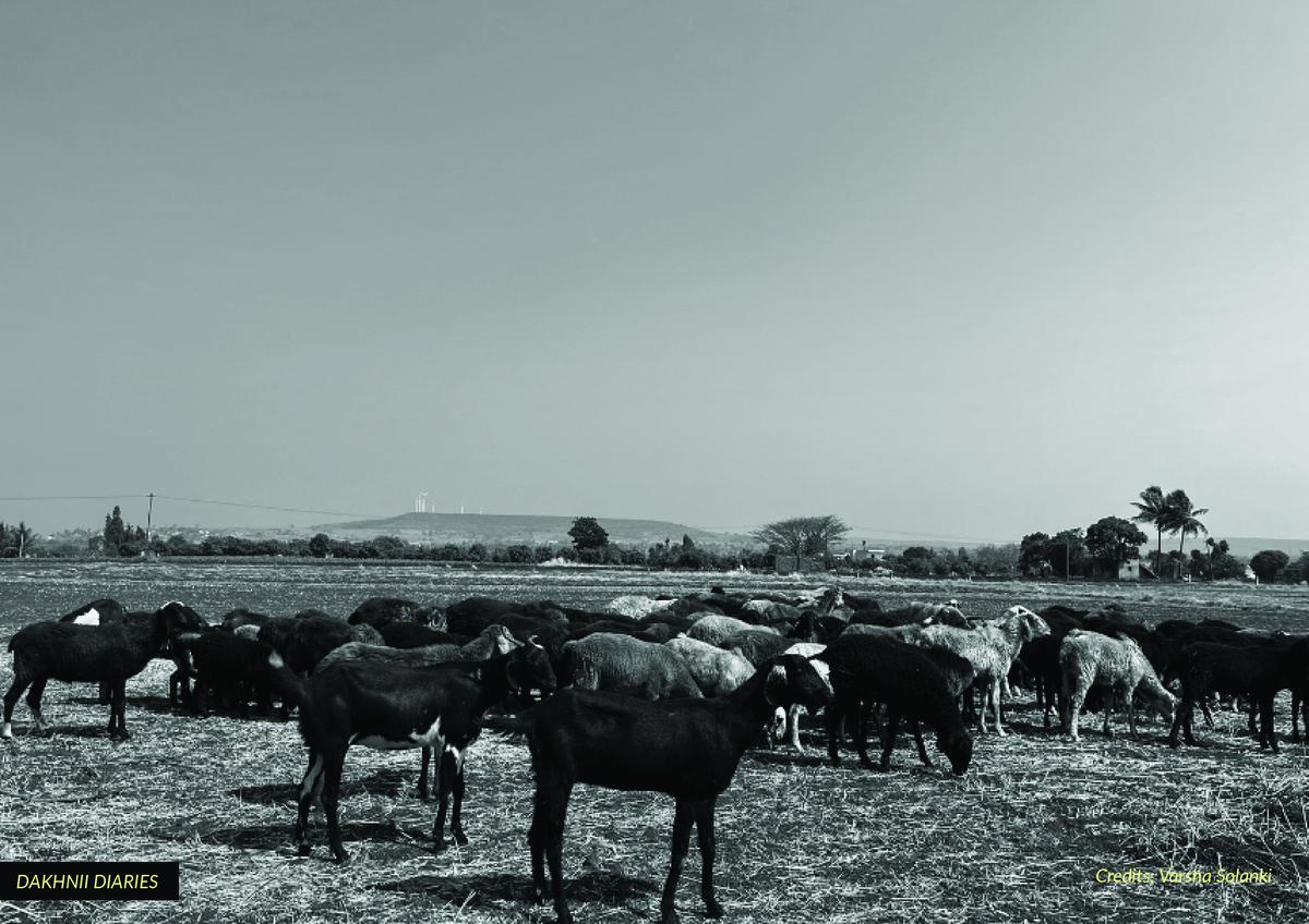 A Peek Into The Life And Culture Of The Pastoral Kurubas Of Karnataka ...